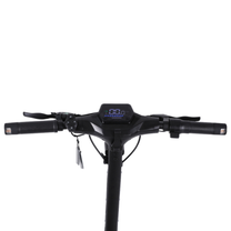 Manubrio con display, leva del freno e pulsanti su Wheely - J18