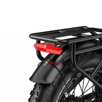 Luce posteriore dell'APEFOX RH20