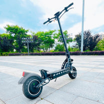 Monopattino elettrico DriveTron DT10 visto di fronte in un parco
