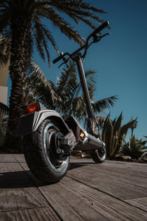 Ruota posteriore del DUALTRON TOGO in riva al mare