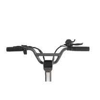 Manubrio del DUALTRON TOGO