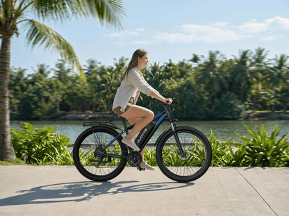 Duotts C29 - L - Elcykel - Wheelyshop