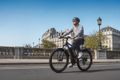 Duotts C29 - L - Elcykel - Wheelyshop