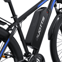 Batteria della Duotts C29-L
