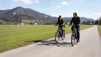 Persona alla guida della bici elettrica Duotts C29 Max su un vialetto