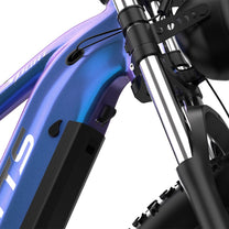 Telaio della Duotts E26