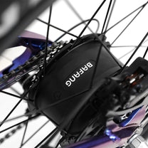 Motore nel mozzo della Duotts E26