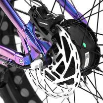Freno a disco della Duotts E26