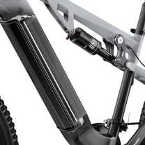 Batteria della Duotts E29