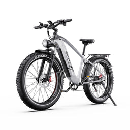 Duotts F26 Lite - Bici elettrica - Wheelyshop