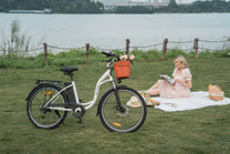 Bici elettrica DYU C6 con un peso di 27 kg – Wheelyshop