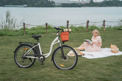 Bici elettrica DYU C6 con un peso di 27 kg – Wheelyshop
