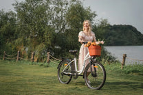 Bici elettrica DYU C6 con pneumatici ad aria da 26 pollici – Wheelyshop