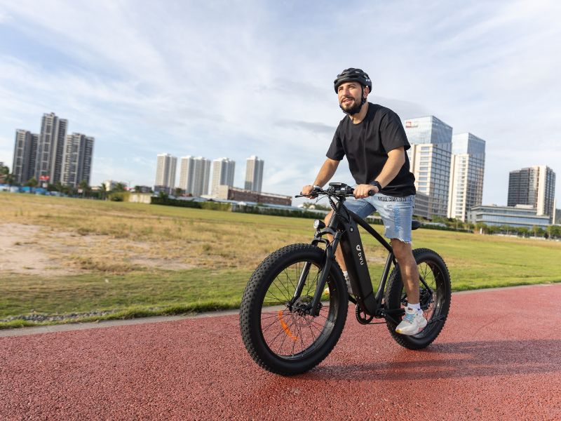 DYU King 750 - Elcykel - Wheelyshop