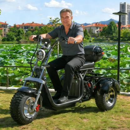 eHoodax 05WQ - Trehjuling - Wheelyshop