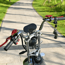 Manubrio dell'eHoodax X10 City Road su un vialetto