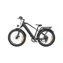 Fat bike elettrica ENGWE E26 vista di lato in colore grigio