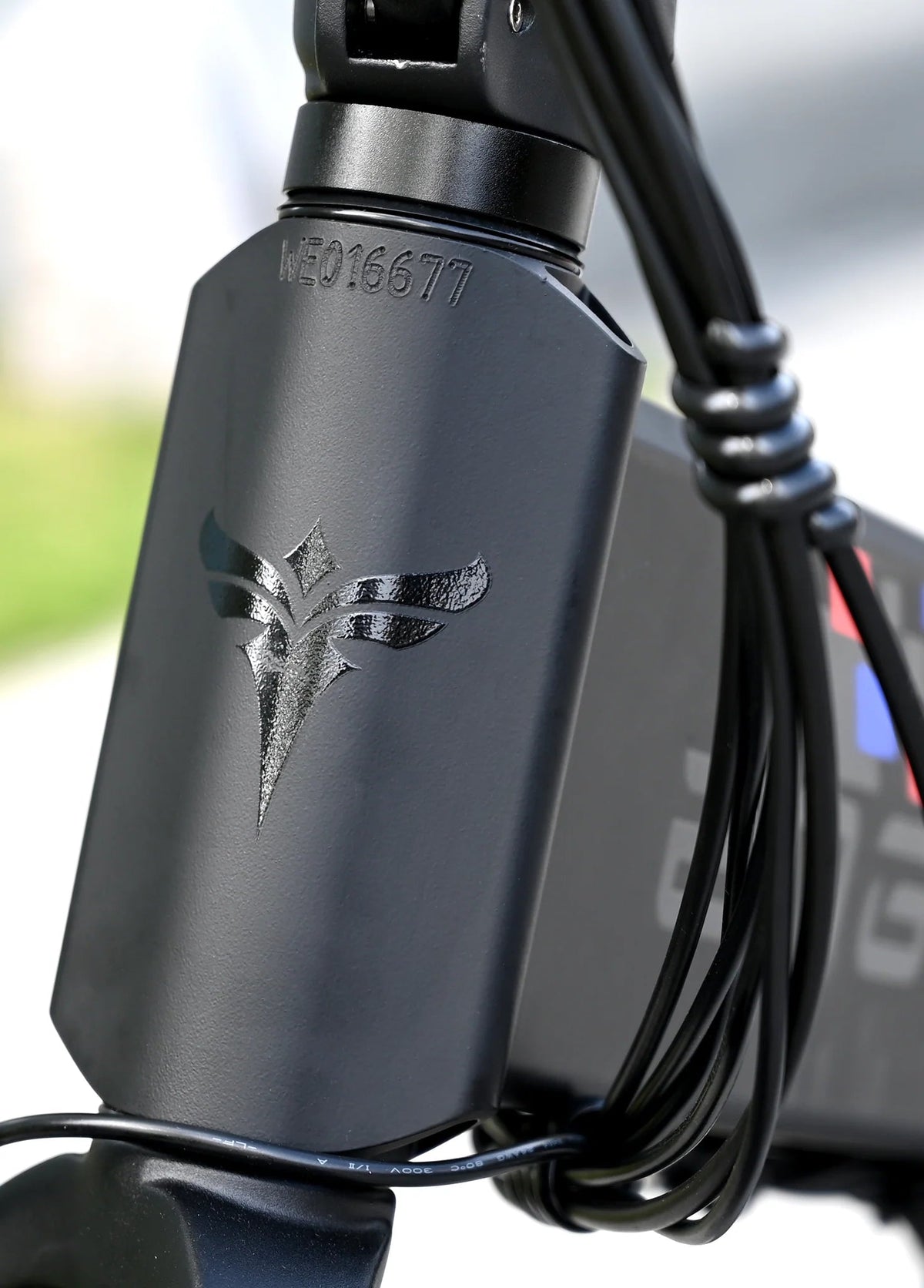 Batteria dell'ENGWE ENGINE X