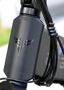 Batteria dell'ENGWE ENGINE X