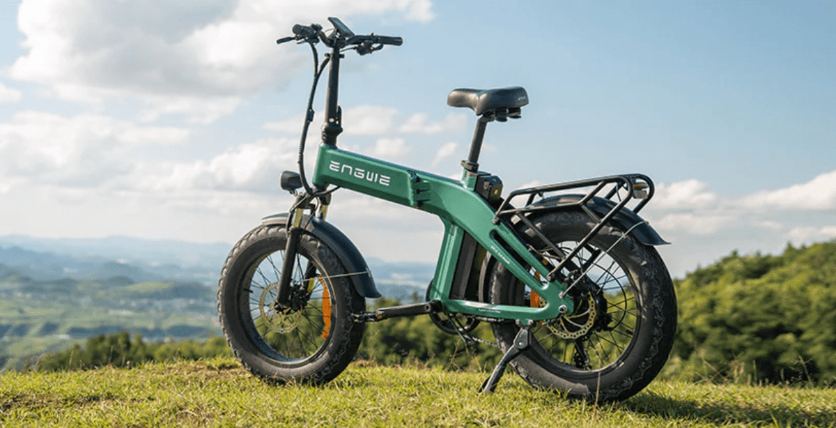 Fat bike elettrica pieghevole ENGWE EP-2 3.0 Boost vista di tre quarti su un prato