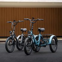 Triciclo elettrico Fafrees F20 Mate visto di tre quarti