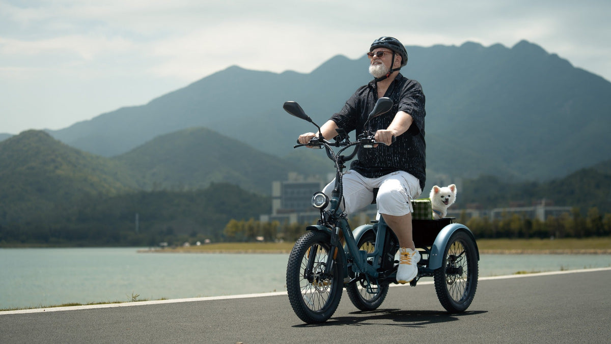 Uomo alla guida del triciclo elettrico Fafrees F20 Mate in montagna