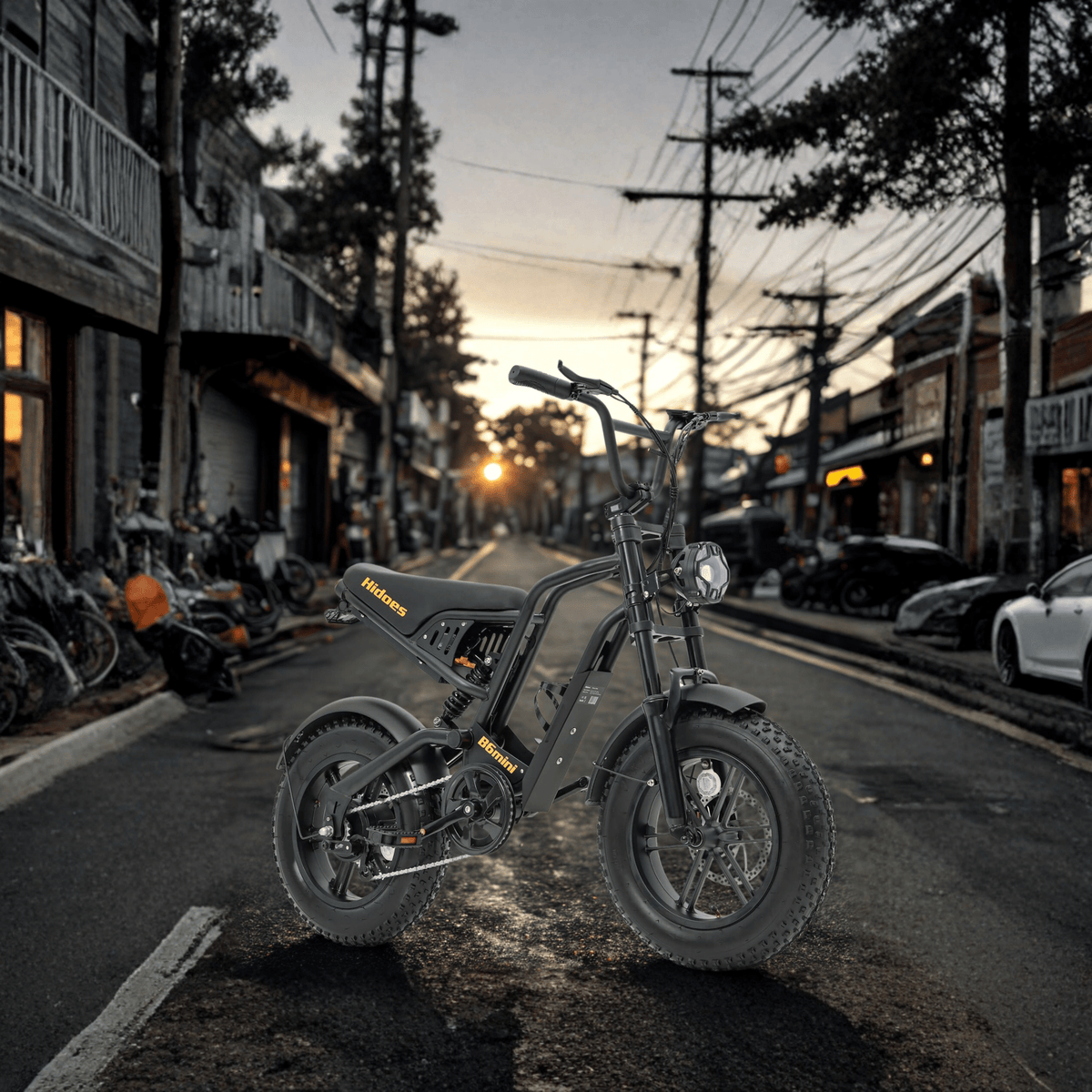 Persona alla guida della fat bike elettrica Hidoes B6 Mini in città