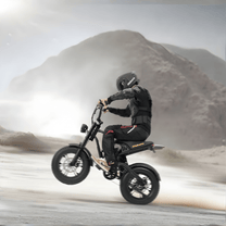 Uomo alla guida della fat bike elettrica Hidoes B6 Mini su terreno sabbioso