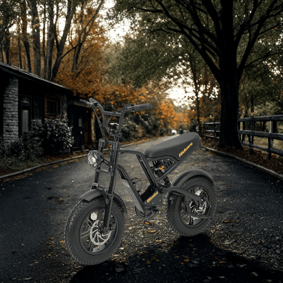 Persona alla guida della fat bike elettrica Hidoes B6 Mini in città