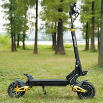 Monopattino elettrico iENYRID ES1 visto di tre quarti in un parco