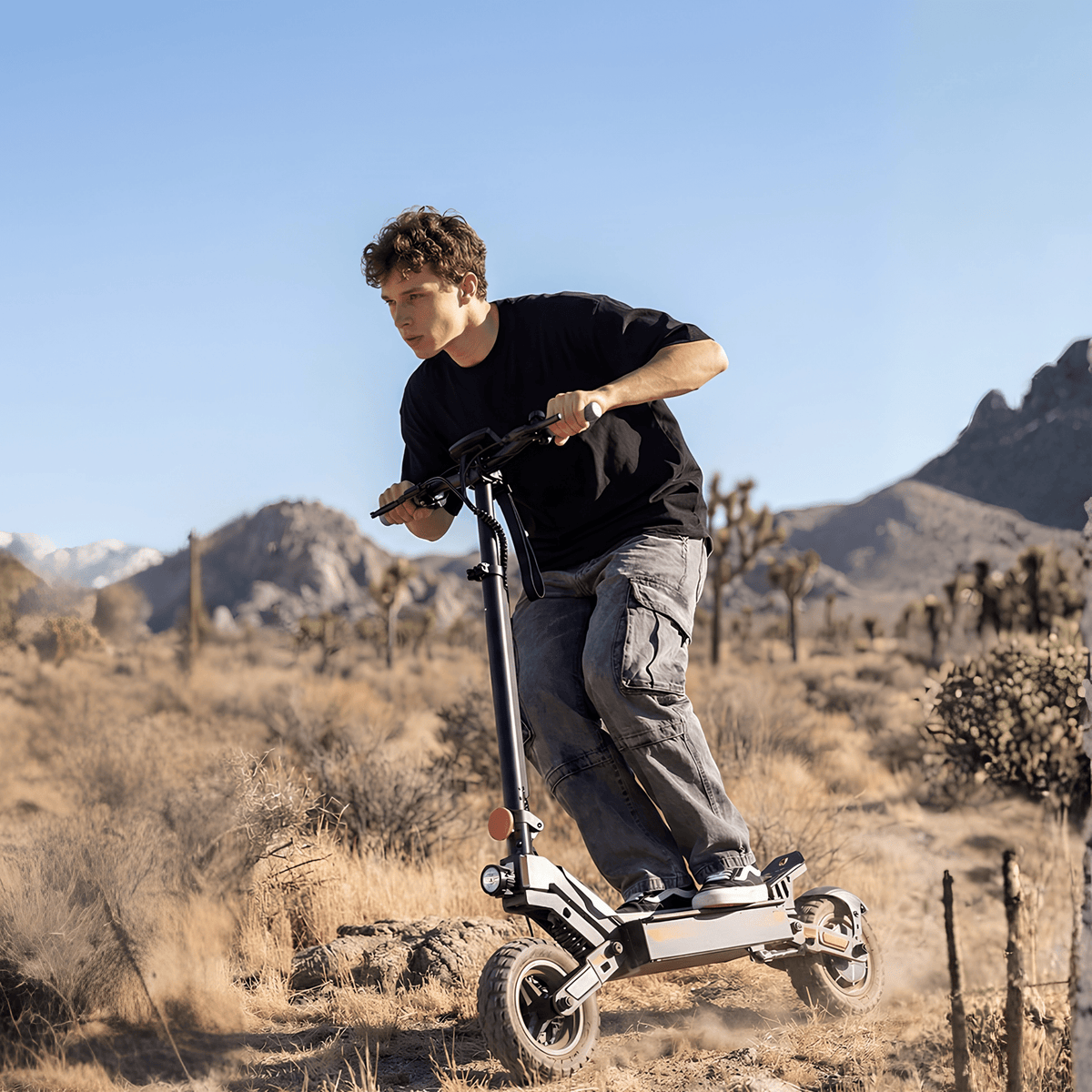iScooter W10 - Elsparkcykel - Wheelyshop