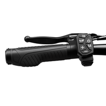 Manopola e comandi del manubrio dell'iScooter W12