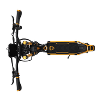 Monopattino elettrico KAABO WOLF WARRIOR 11 MAX visto dall'alto in colore oro