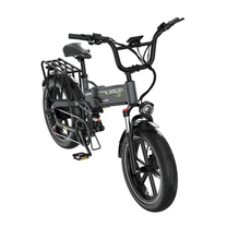 Fat bike elettrica pieghevole KOOLUX X12 Pro vista di fronte