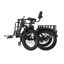 Triciclo elettrico KOOLUX X13 piegato