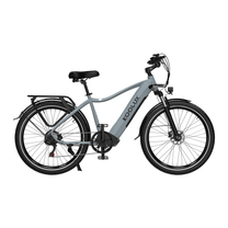Bici elettrica KOOLUX X3 vista di lato in colore grigio