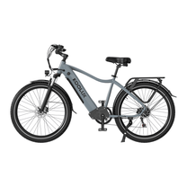 Bici elettrica KOOLUX X3 vista di lato in colore grigio