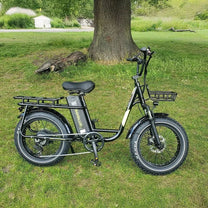 Fat bike elettrica KOOLUX X7 vista di lato in un parco