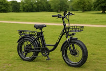 Fat bike elettrica KOOLUX X7 vista di lato in un parco