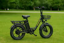 Fat bike elettrica KOOLUX X7 vista di lato in un parco