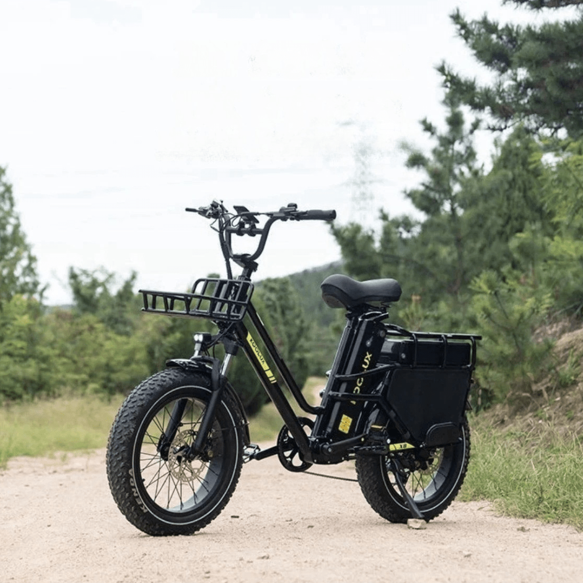 Fat bike elettrica KOOLUX X8 vista di tre quarti su un vialetto