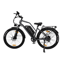 Fat bike elettrica LOOKROAD L28 Max vista di lato in colore grigio