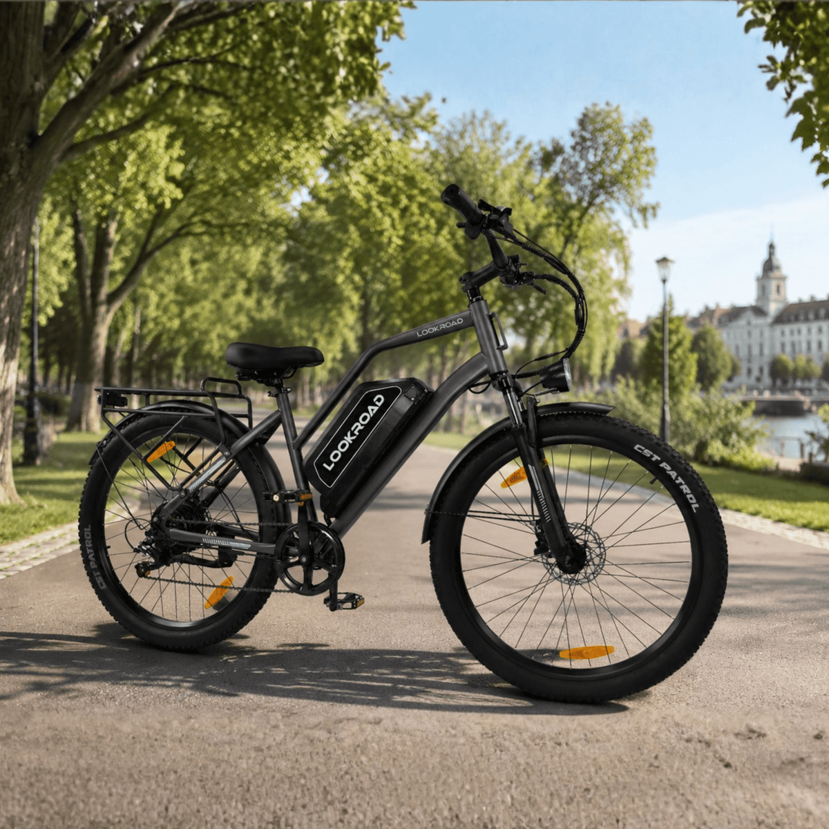 Fat bike elettrica LOOKROAD L28 Max vista di tre quarti in un parco