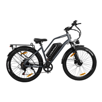 Fat bike elettrica LOOKROAD L28 Max vista di lato in colore grigio