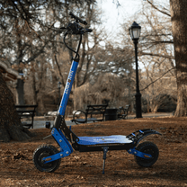 Monopattino elettrico Nanrobot D4+MAX visto di tre quarti in un parco