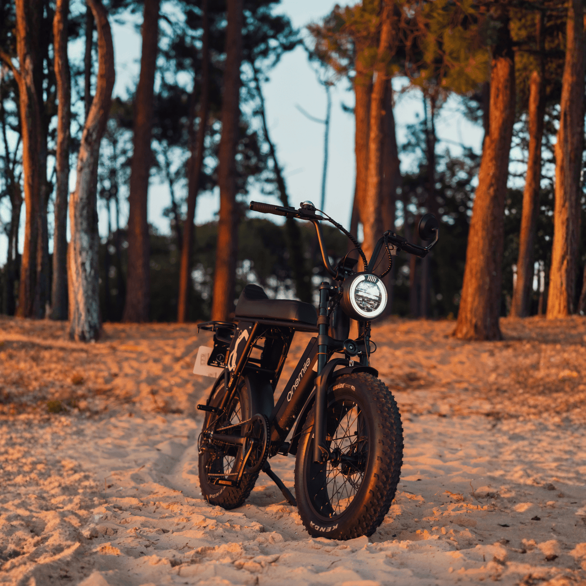 Onemile P40 Pro - Elcykel - Wheelyshop