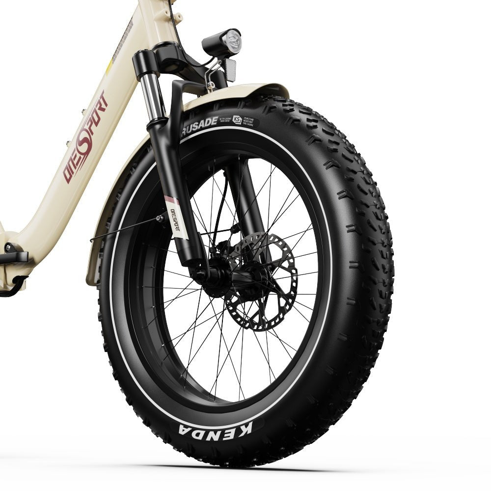 Ruota anteriore e forcella dell'OneSport OT16 Max di fronte in colore beige