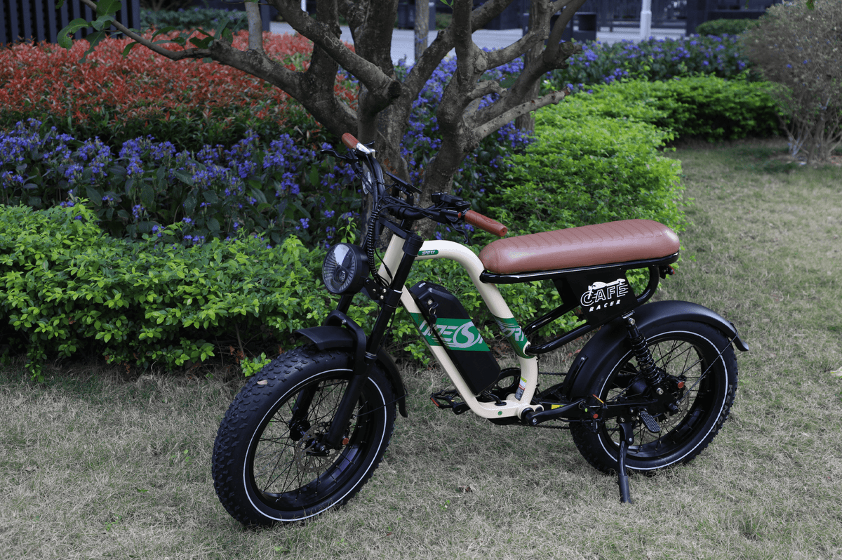 Fat bike elettrica OneSport W66 vista di tre quarti parcheggiata su un prato