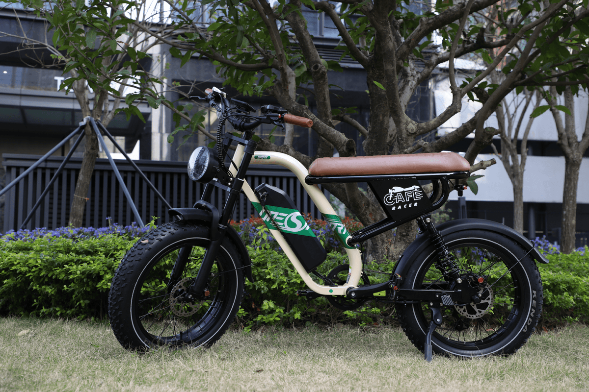 Fat bike elettrica OneSport W66 vista di lato parcheggiata in un parco