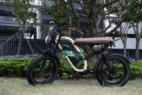 Fat bike elettrica OneSport W66 vista di lato parcheggiata in un parco